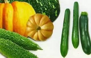 吃瓜网咋看新瓜,新瓜生成背后的秘密与趋势